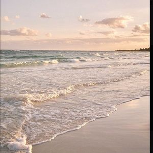 Meet your Posher, Ella